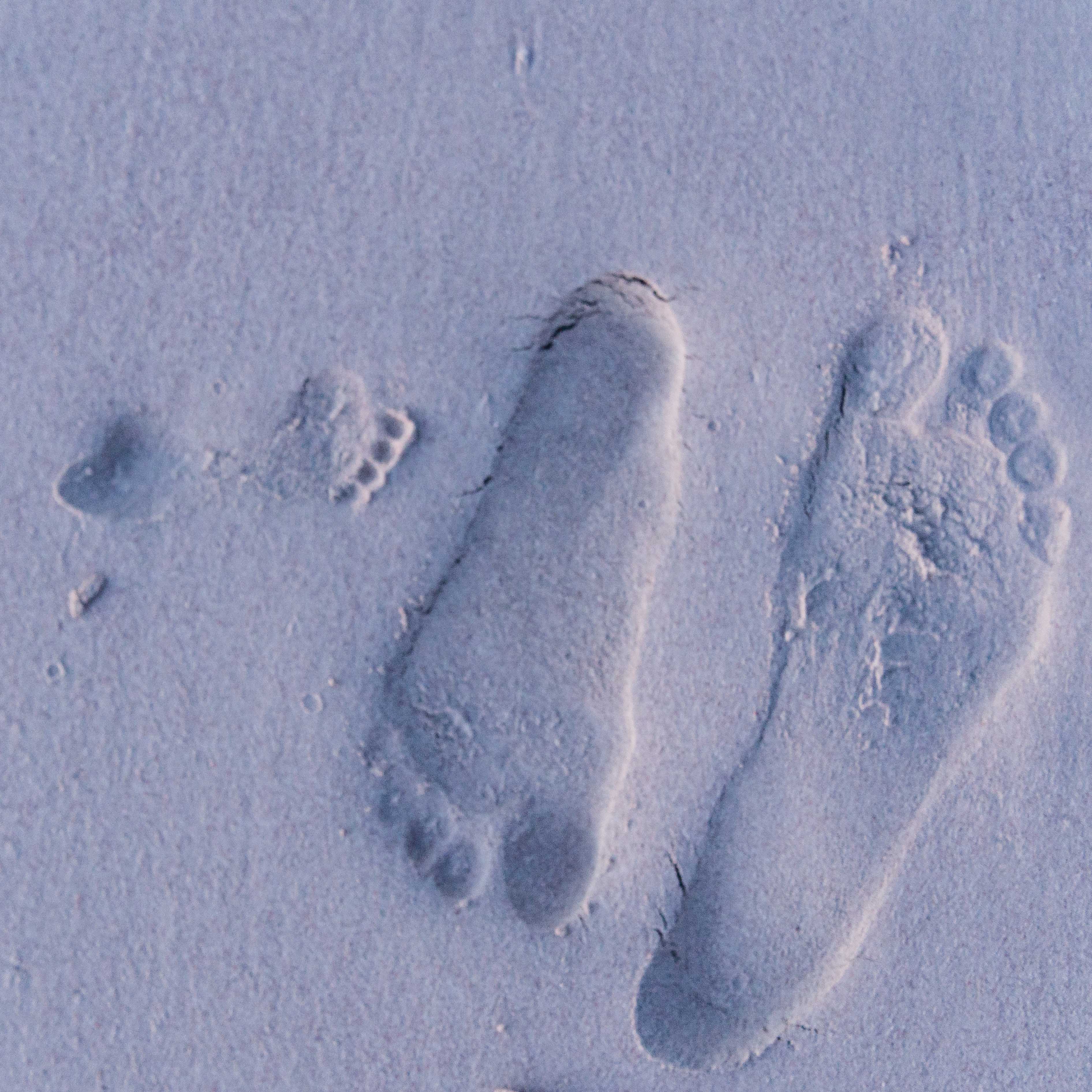 Footprints in Sand